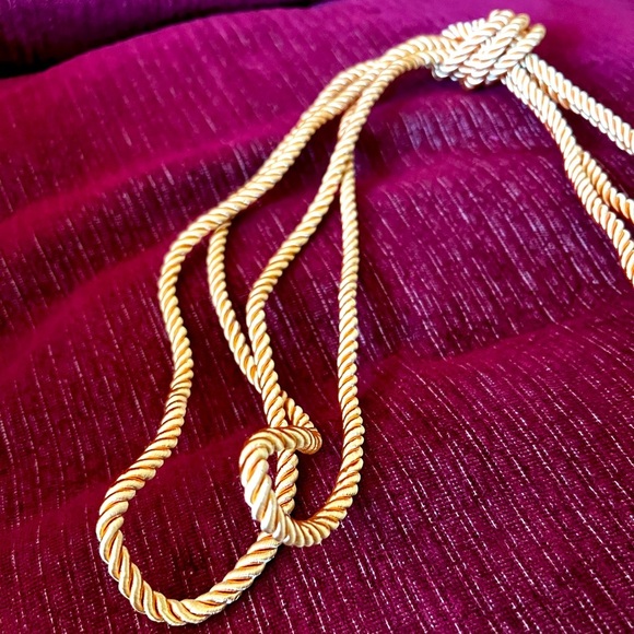 🎓 Graduation Bundle 2 Gold Cords and NSHSS Scholar Sticker 🎓 - Picture 6 of 6